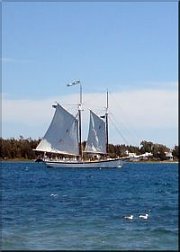 schooner3-180