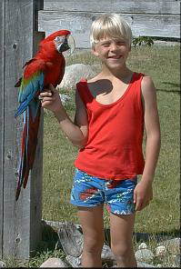 macaw2